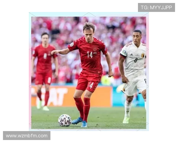 达姆斯高技术特点