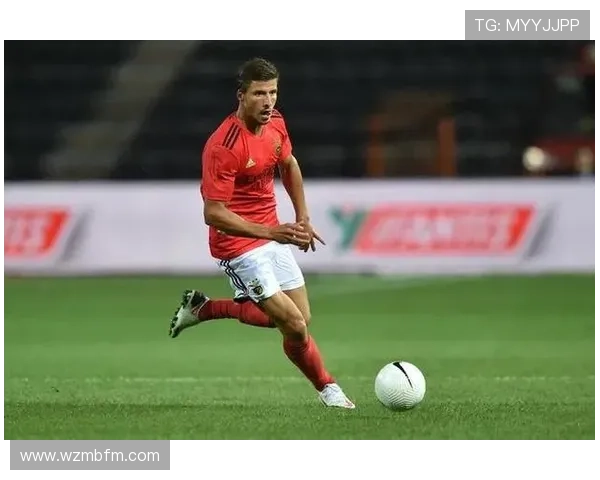 约翰·斯通斯与鲁本·迪亚斯：技术型与指挥型中卫差异解析