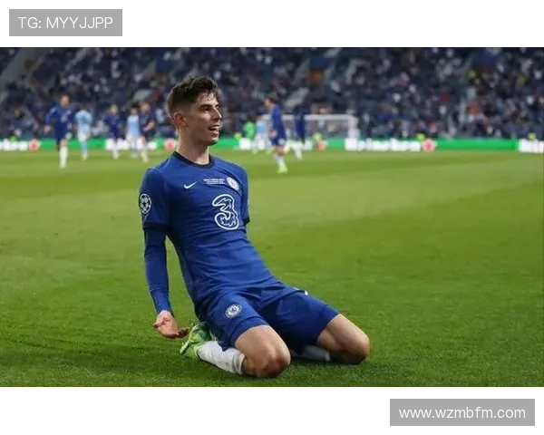 赖斯的体系依赖性与战术适配分析