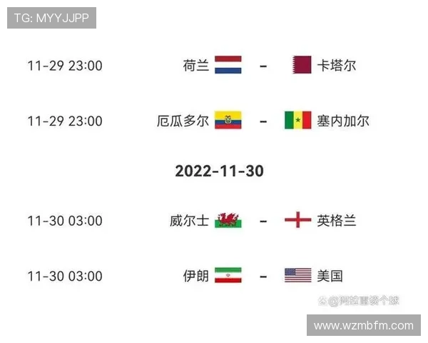 世界杯B组卡塔尔出线概率最新公布 世界杯B组卡塔尔出线概率最新公布